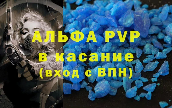 СК Алзамай