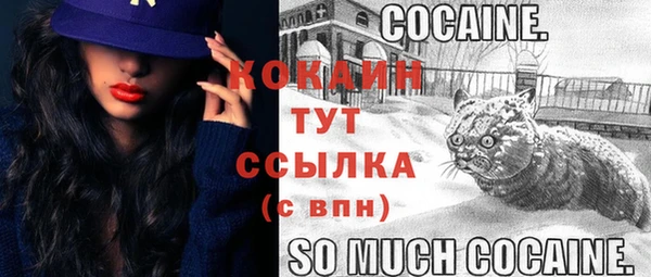 СК Алзамай