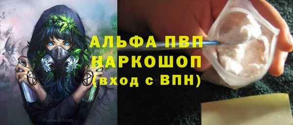 СК Алзамай